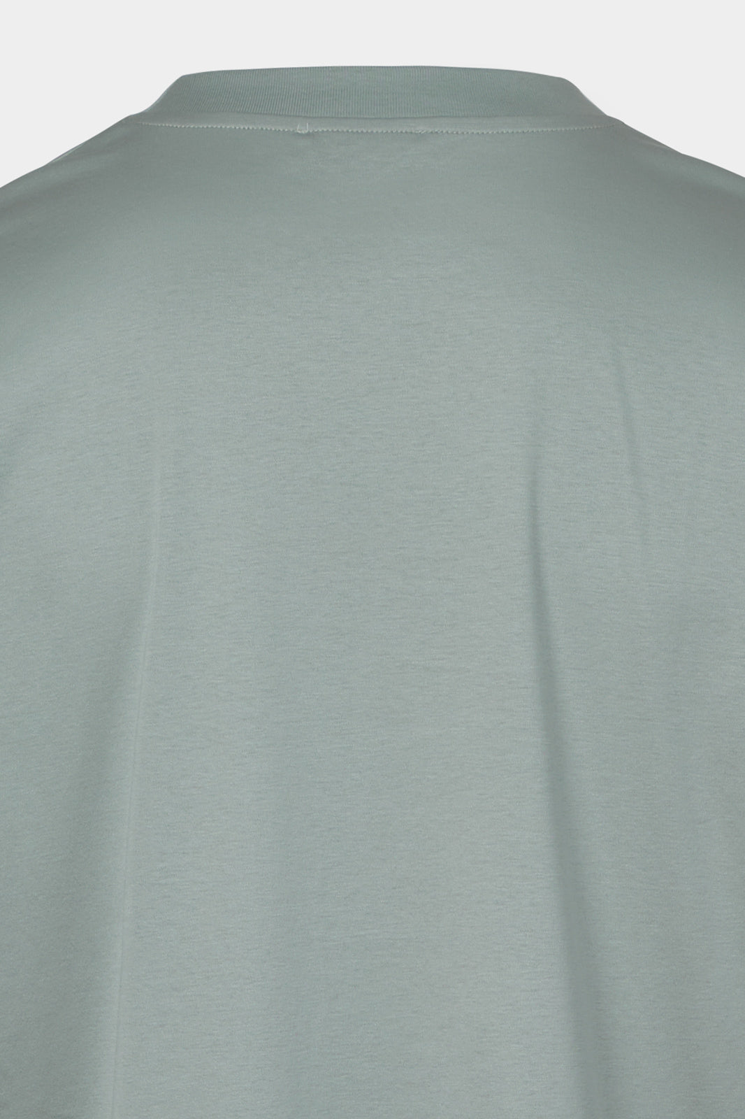 Vayan round neck ice cotton T-shirt - Sage green